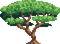 Oak Tree.png