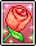 Giant Rose Card.png