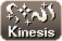 Divinity Style Kinesis.png