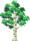 Birch Tree.png