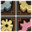 Cog Inventory Space.png