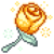 Giant Starflower.png