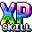 Skill Experience.png