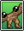 Walking Stick Card.png